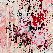 Pierre Pietrucha ; pierrepietrucha.com ; pierre-pietrucha.com ; artiste ; artist